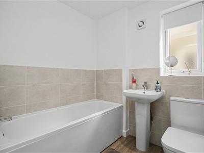 Picture 22